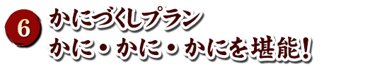 天橋立ホテル