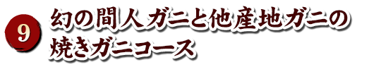 amano-hashidate幽斎