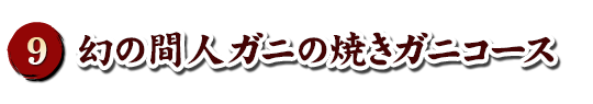 amano-hashidate幽斎